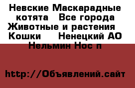 Невские Маскарадные котята - Все города Животные и растения » Кошки   . Ненецкий АО,Нельмин Нос п.